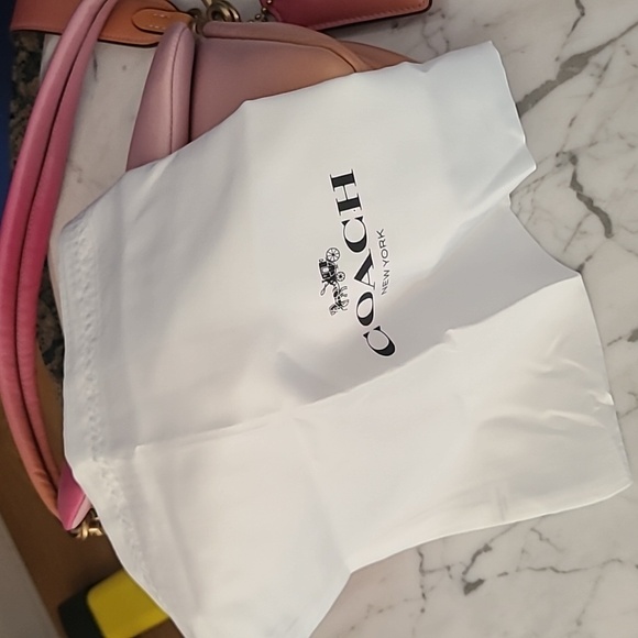 NWT Coach Ombre Pillow Tabby Shoulderbag 26 - Picture 12 of 13